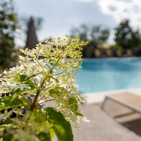 Art Ventaglio Hotel 3*