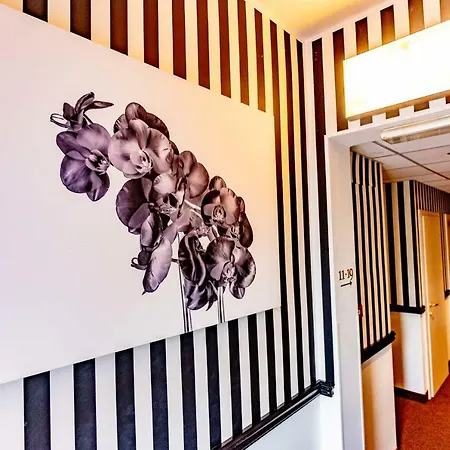 Hotel Art Ventaglio 3*