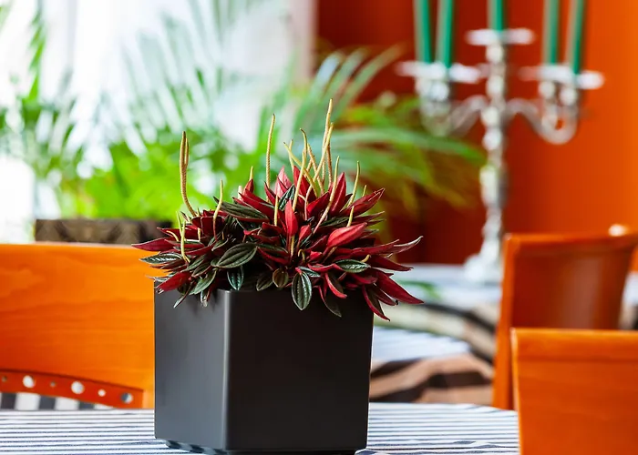 Art Ventaglio Hotel Bardolino